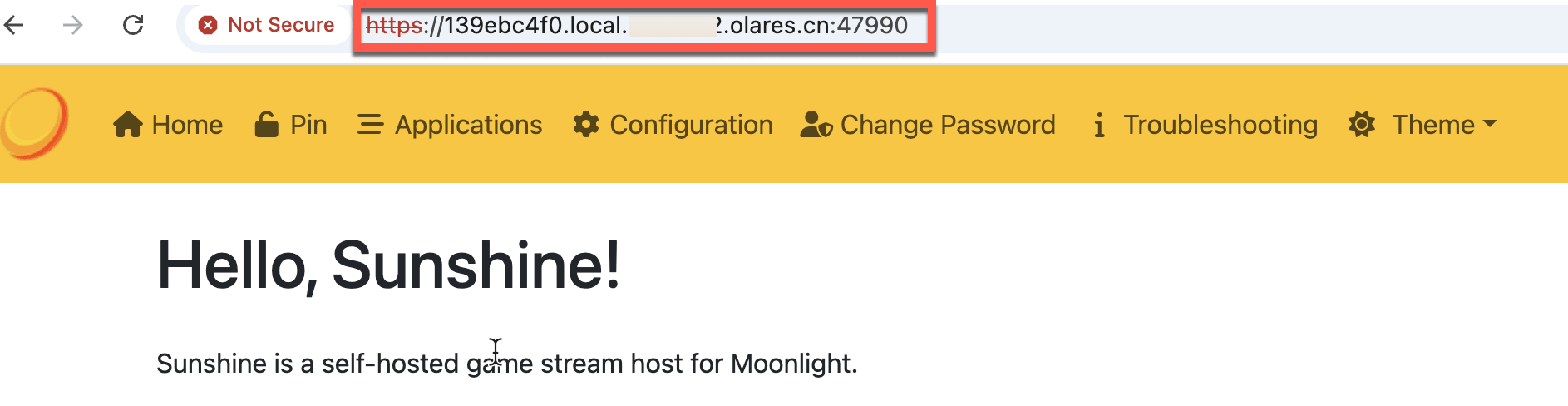 Sunshine console page
